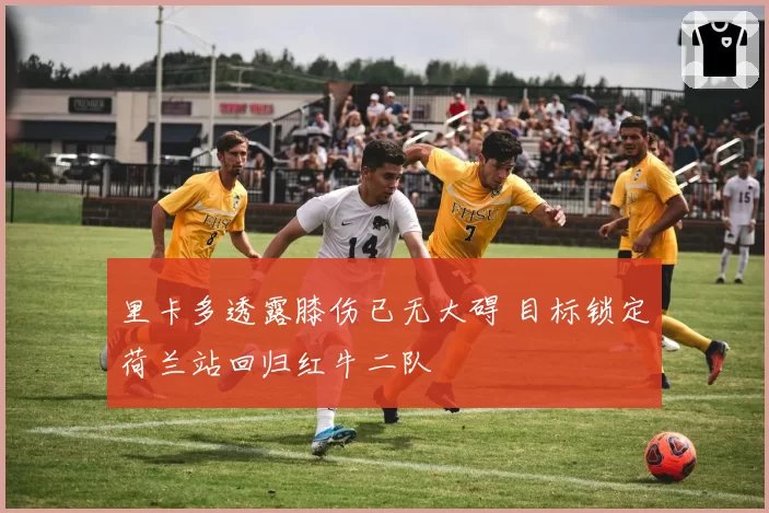 里卡多透露膝伤已无大碍 目标锁定荷兰站回归红牛二队