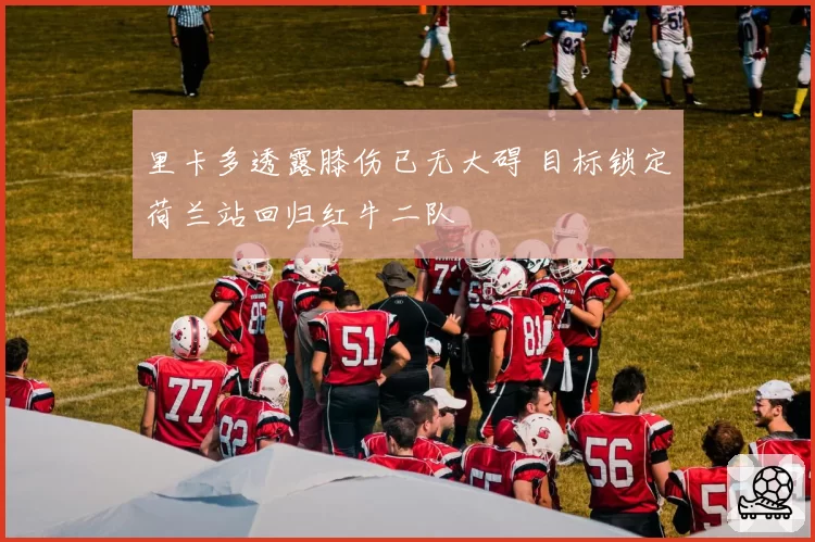 里卡多透露膝伤已无大碍 目标锁定荷兰站回归红牛二队